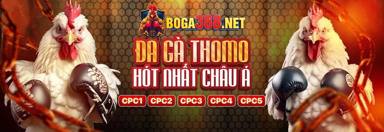 Cách tham gia chương trình VIP