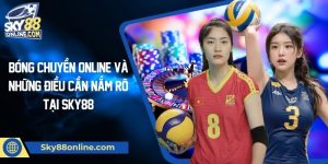 Bóng chuyền online