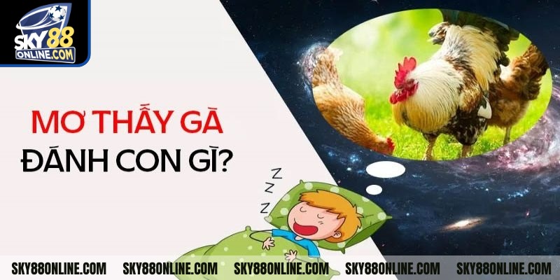 Mơ thấy con gà đánh con gì?