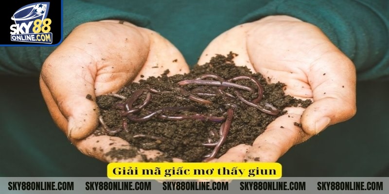 Mơ thấy bắt giun