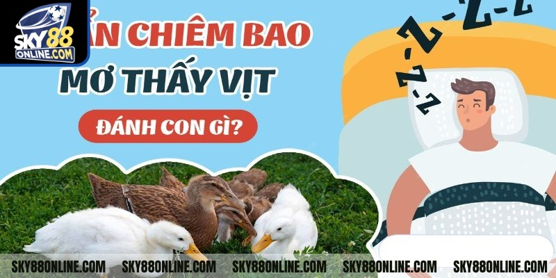 Mơ thấy con vịt đánh con gì thông qua điềm báo?